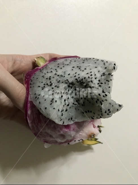 용과,베어문과일,용과먹은,열대과일,이색과일,과일