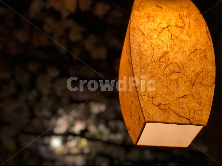 등,감성,꽃,배경화면,램프,lamp