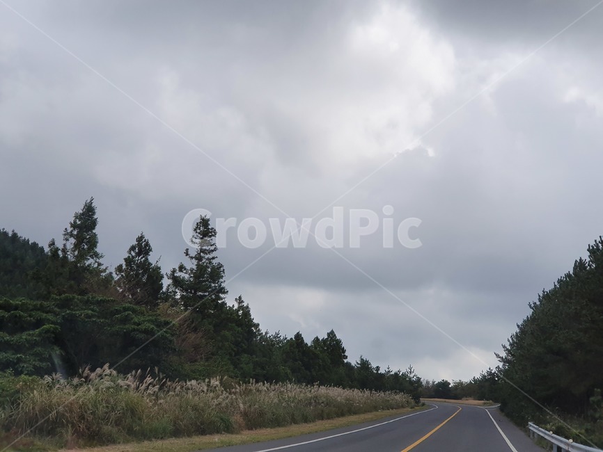 road,도로,freeway,highway,제주도,길,흐린날씨,하늘,sky