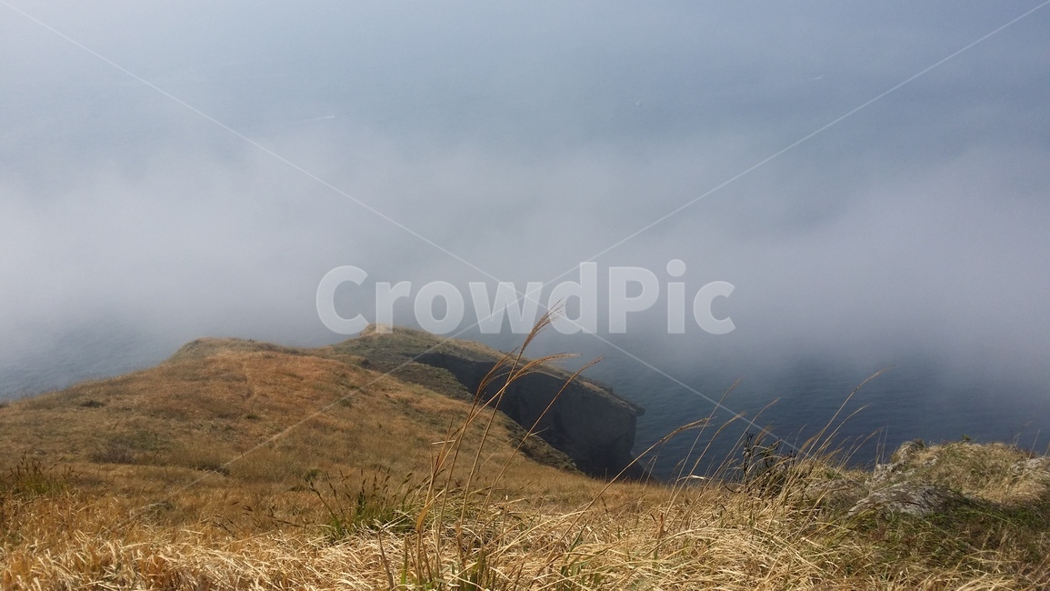 새벽안개,제주도,jejuisland,오름,fog,자연,풍경,nature,landscape,outdoors,옥외