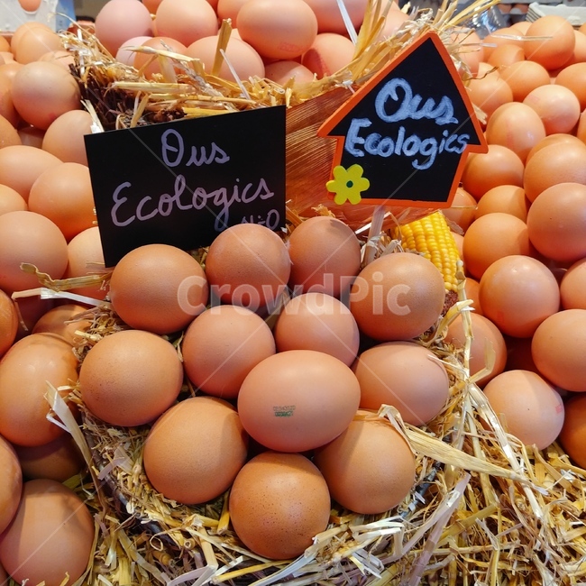 달걀,계란,egg,eggs,cook,식재료,요리재료,단백질,헬스,health,마켓,market,요리