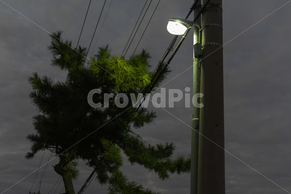 램프포스트,lamppost,실루엣,밤하늘,전봇대,나무,가을밤,야경,밤,풍경,nightscape,night,landscape,lamp post,램프 포스트