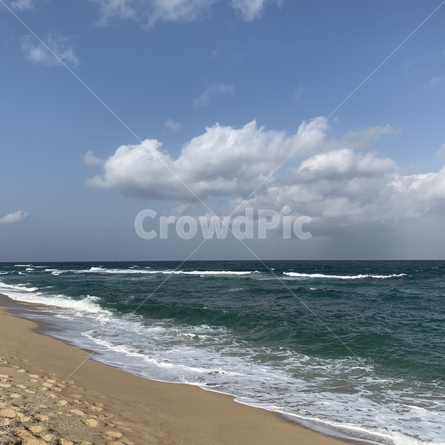 shoreline,ocean,sea,water,바다,대양,해안선,물,beach,바닷가,해변,해변,바다,beach,sea