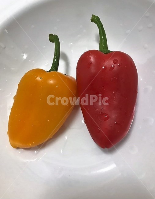 파프리카,싱싱,야채,채소,프레시,음식,식재료,요리,food,cook,meal,dishes,food reserves,채소,야채,vegetables