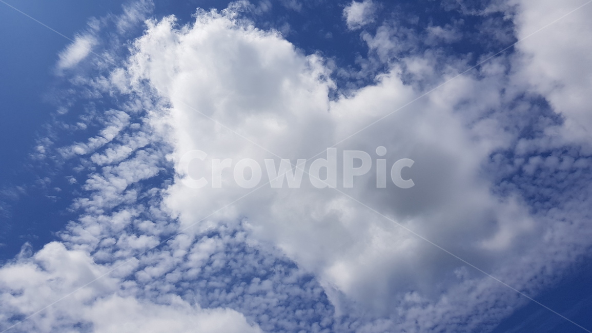 하늘,구름,파란하늘,뭉게구름,하얀구름,cloud,bluesky,nature,자연,outdoors,옥외,weather,날씨,cumulus,적운,자연,풍경,nature,landscape,sky