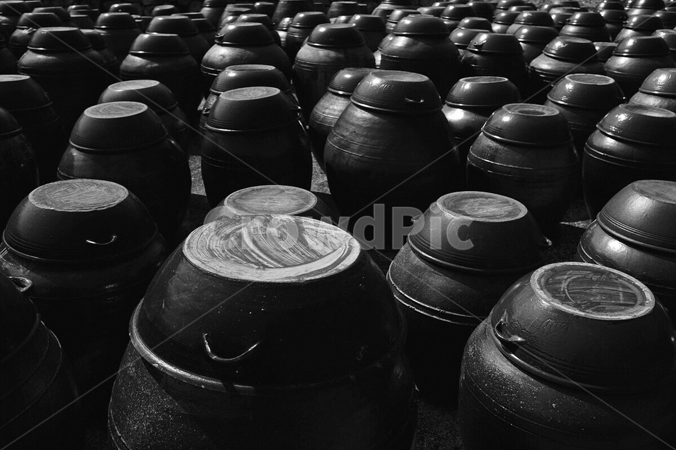 감성사진,흑백사진,장독대,봄,필름,색감,emotion,monochrome,spring,film,color,한국전통,한국문화,korean traditional,korean culture,흑백,모노톤,monochrome,black and white