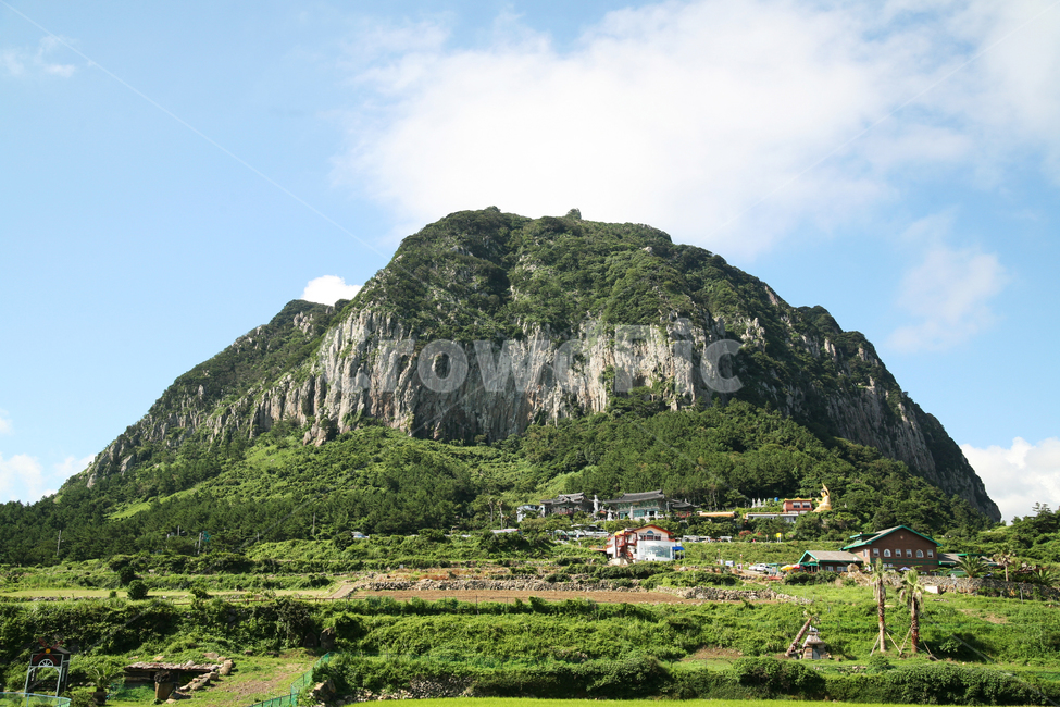 제주,산방산,등산,절,jeju,구름,맑음,식물,나무,집,여름,제주도,jeju,jeju island,nature,자연,outdoors,옥외