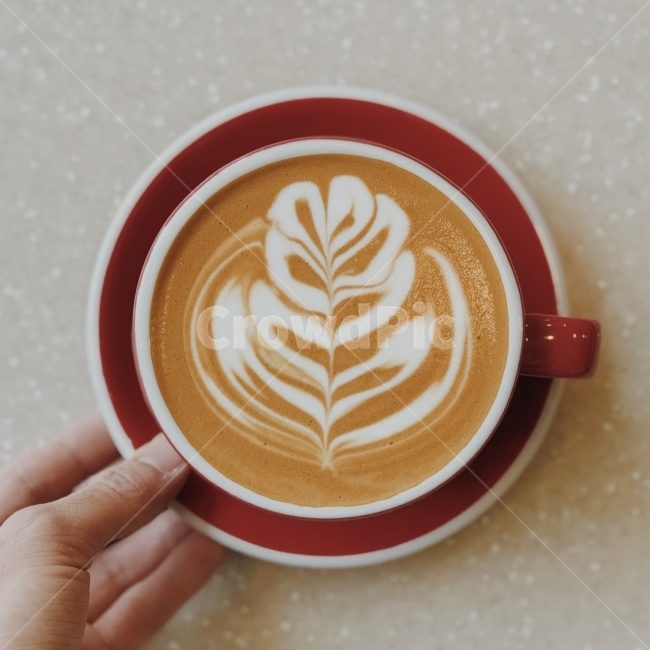로제타,커피,라떼아트,아트,라떼,커피,카페,coffee,cafe,감성,sensible,feeling