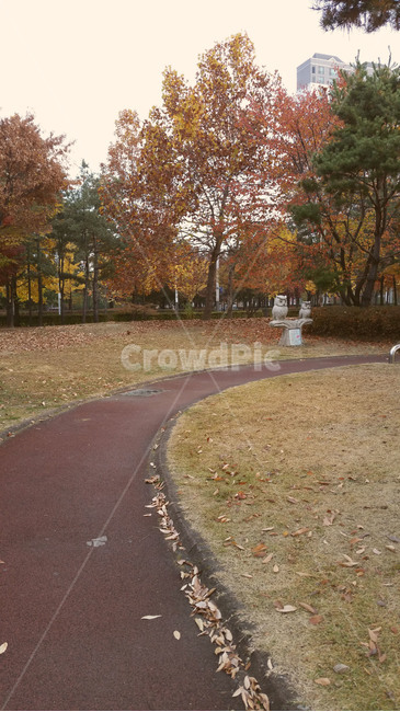 tree,나무,plant,식물,나무줄기