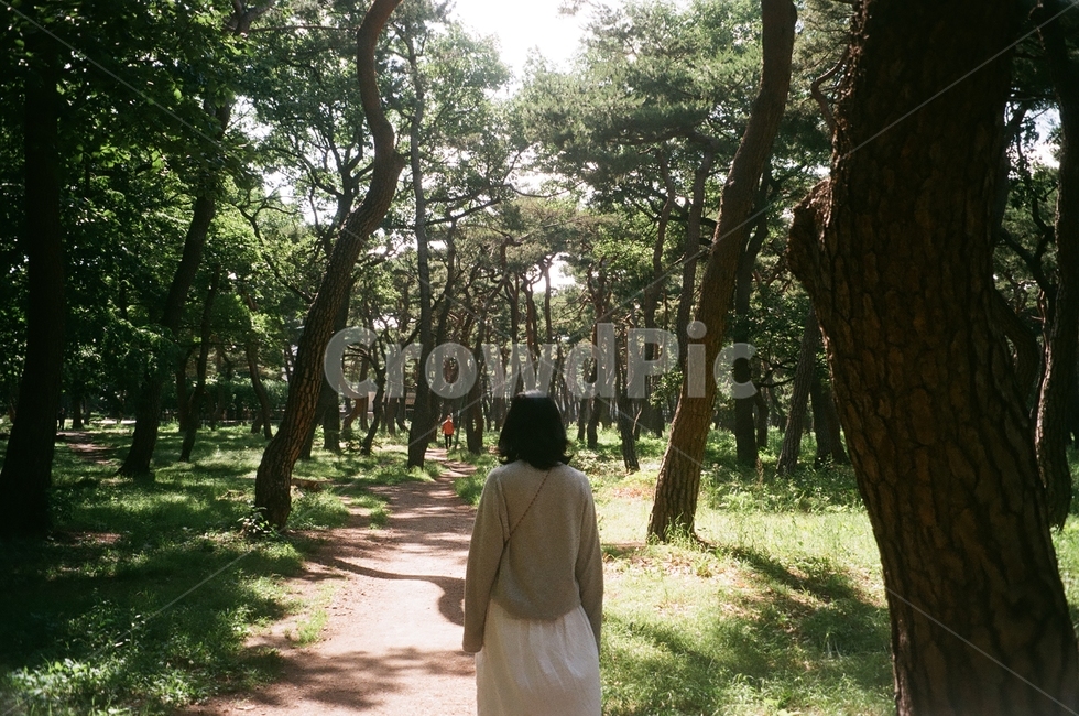 경주,황성공원,공원풍경,숲,뒷모습,여름,풍경,초록,나무,필름사진,자연,풍경,nature,landscape,사람,인물,인간,human,person,여성,여자,woman,female,lady,여행,휴가,traveling,vacation,trip,감성,sensible,feeling,휴식,힐링,rest,relaxation,healing,tree,plant,식물,tree trunk,나무 줄기