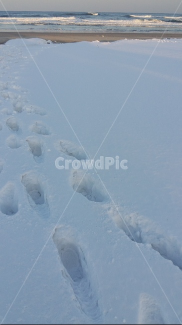 겨울바다,눈,발자국,바다,발,겨울,계절,winter,season