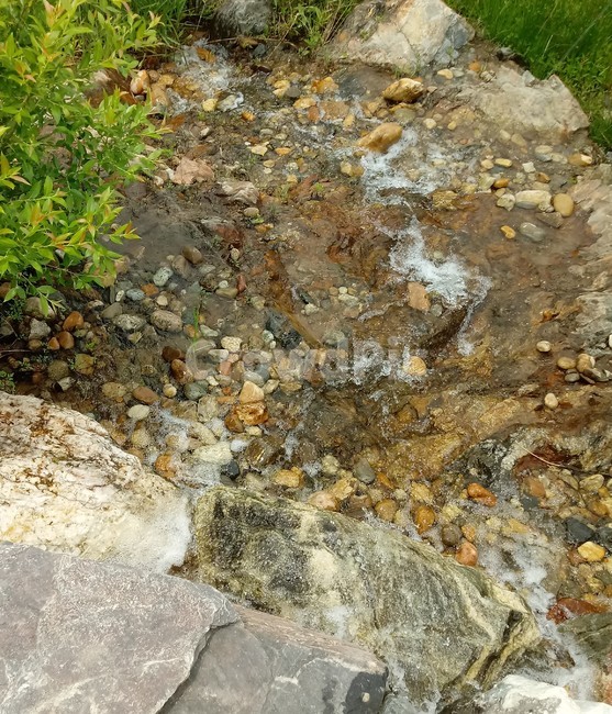 시냇물,자연,계곡,개울,자갈,water