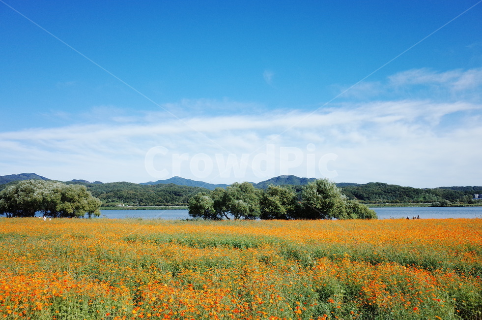 자연,풍경,하늘,공원,절경,야외,가을,계절,fall,autumn,season,자연,풍경,nature,landscape,field,들,grassland,목초지,outdoors,옥외,farm,농장,rural,농촌,meadow