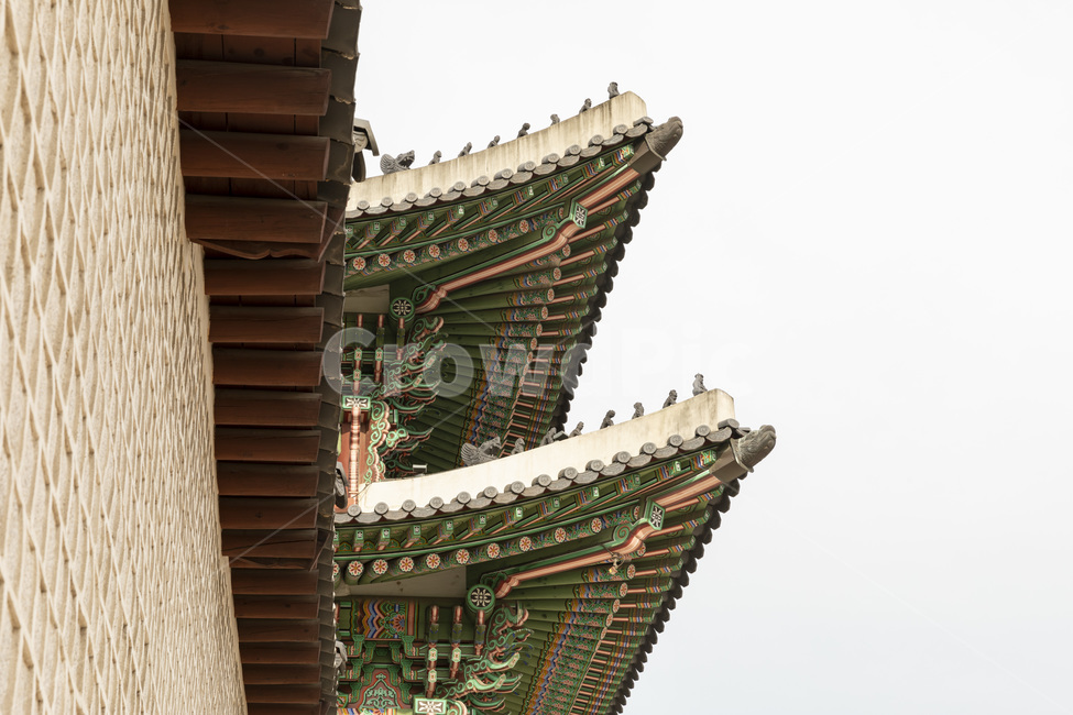 한옥,광화문,한국전통,단청,지붕