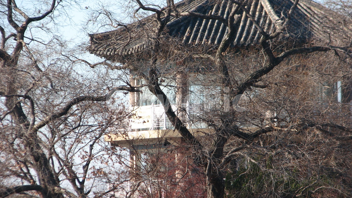 건물,building,가을배경,scenery,배경
