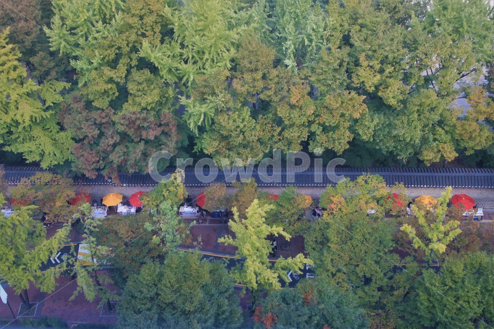 outdoors,tree,landscape,풍경,scenery
