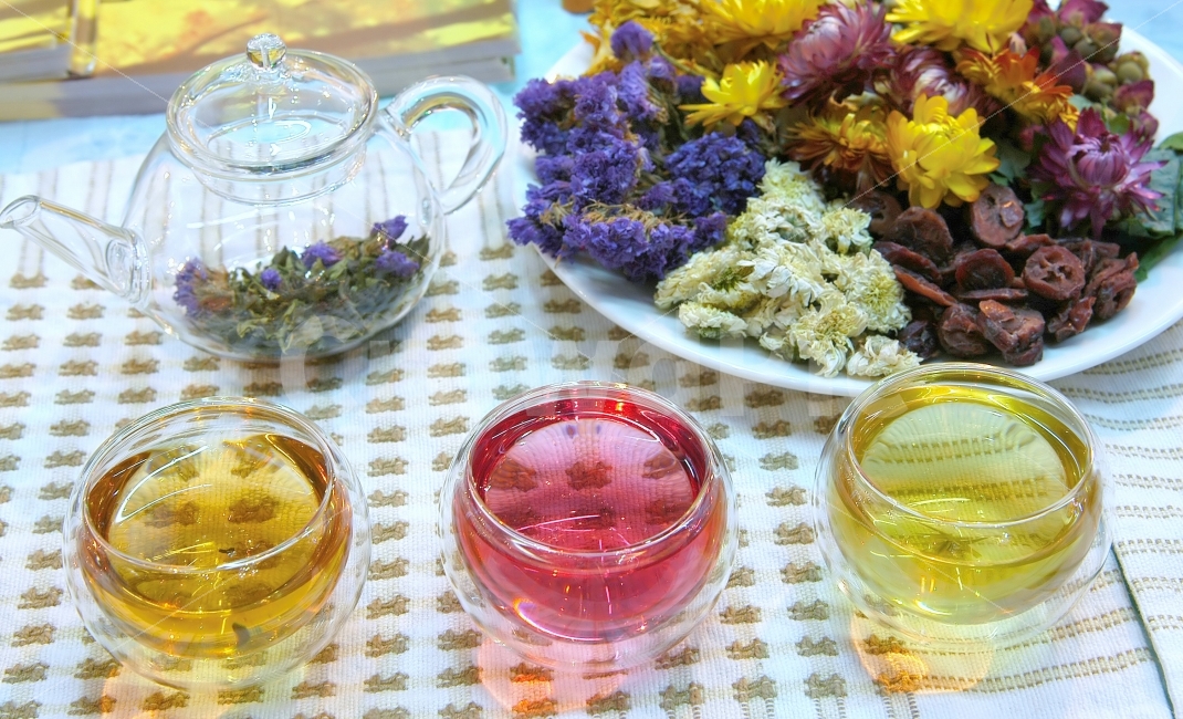 차,전통차,국화차,국화,꽃,국화꽃,마실것,음료,잔,주전자,찻잔,칼라,컬러,컬러풀,한국전통,한국문화,korean traditional,korean culture,식물,자연,plants,nature,꽃,flower,음료수,drink,beverage