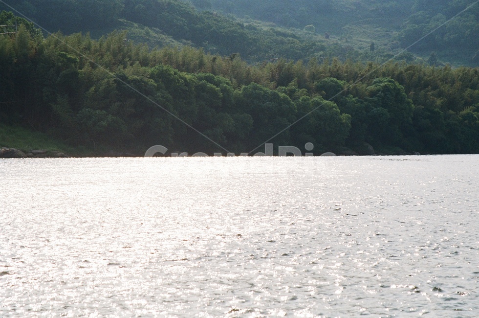 섬진강,자연,힐링,고요함,명상,하동,river,peaceful,평화로운,tree,자연,풍경,nature,landscape