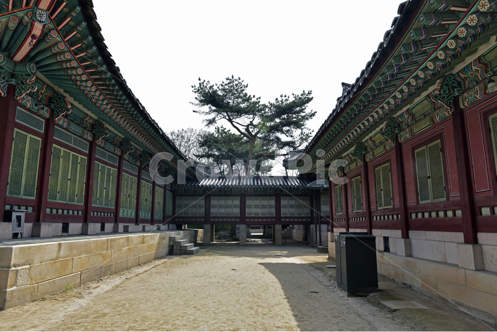창덕궁,changdeokgungpalacecomplex,궁궐,문화유산,세계유산,한옥,이궁,동궐,단청,한국전통,한국문화,korean traditional,korean culture,랜드마크,landmark,tourist attraction,한국랜드마크,한국관광지,한국명소,korea landmark,korea tourist attraction,건축물,건물외관,exterior,building,structure,architecture,construction