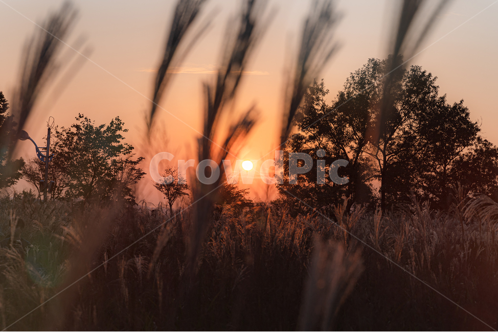 노을,sunset,가을,nature,감성사진,가을,계절,fall,autumn,season