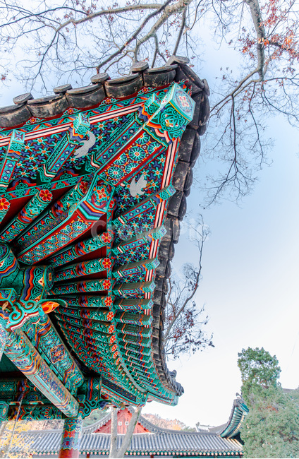 처마,문양,단청,무늬,문화유산,사찰,한국전통,한국문화,korean traditional,korean culture,건축물,건물외관,exterior,building,structure,architecture,construction
