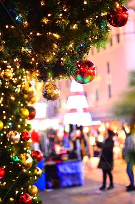 크리스마스,성탄절,보케,트리,야경,xmas,성탄볼,년말,장식,데코레이션,볼,화려한,중심가,밤거리,시내,12월,tree,merrychristmas,decoration,배경,바탕,백그라운드,background,조명,불빛,빛망울,칼라풀,colorful,연인,거리,사람들,겨울,계절,winter,season,야경,밤,풍경,nightscape,night,landscape,기념일,축하,anniversary,congratulation,celebrate,celebration,메리크리스마스,성탄절,merry christmas,lighting,나무,plant,식물,christmas tree,크리스마스 트리,ornament