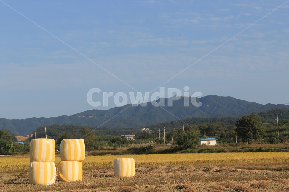 볏단,볕짚,건초,haybale,haystack,hayrick,건초더미