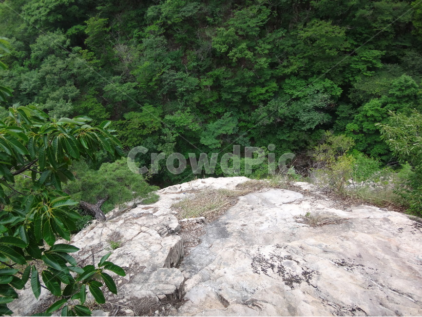 정상,절벽,나무,바위,자연,자연,풍경,nature,landscape,slope,경사