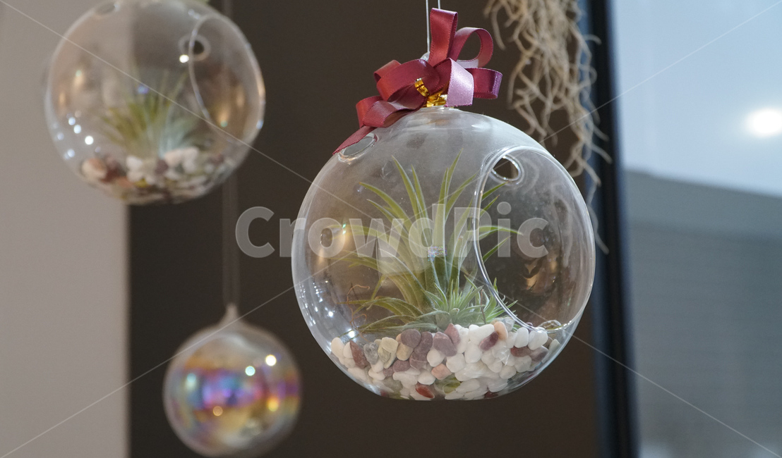 예쁜장식물,prettyornaments,공중화분,airpollen,작은화분,smallpots