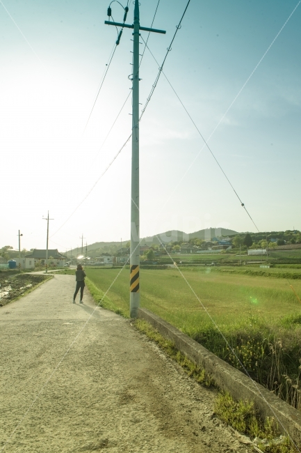 자연,풍경,풍경사진,농촌,시골,밭,자연사진,전봇대,하늘,구름,햇빛,태양,해,sky,nature,landscape,cloud,sun,sunlight,country,countryside,farmvillage,farmingarea,telephonepole,시골,마을,풍경,landscape,country,rural,town
