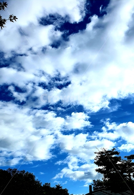 자연,푸른하늘,옥외,하늘,sky,자연,풍경,nature,landscape,outdoors,azure sky,푸른 하늘