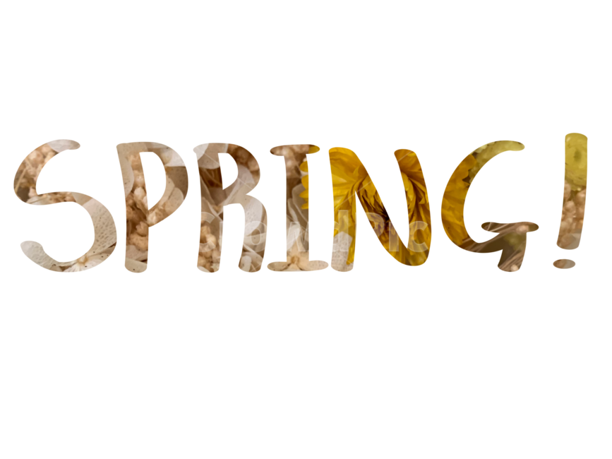 봄캘리,봄,봄캘리그라피,spring,spring캘리그라피,캘리그라피,spring캘리,3월,3월캘리그라피,사진캘리그라피,계절,계절캘리그라피,봄,계절,spring,season,누끼,remove background,캘리그라피,손글씨,calligraphy