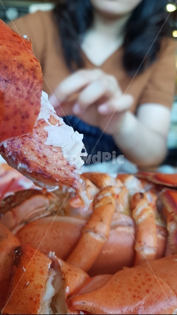 랍스타,갑각류,외식,게,게살,손,바닷가재,맛,음식