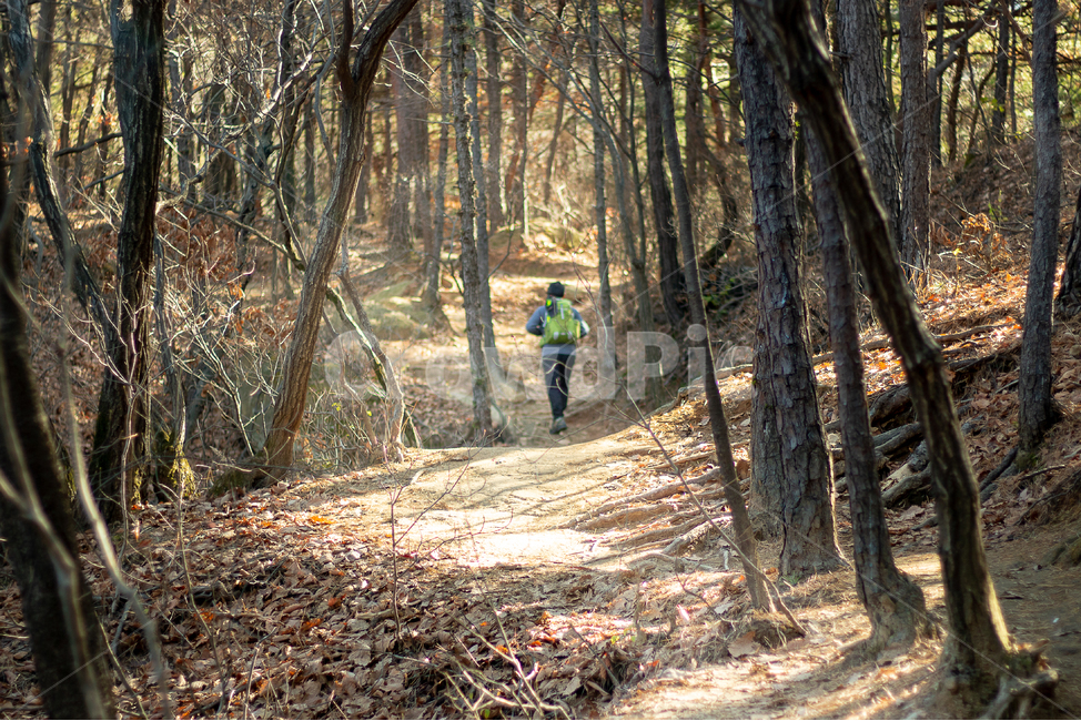 관악산,등산,하이킹,트래킹,길,나무,숲,자연,풍경,nature,landscape,사람,인물,인간,human,person,남성,남자,man,male