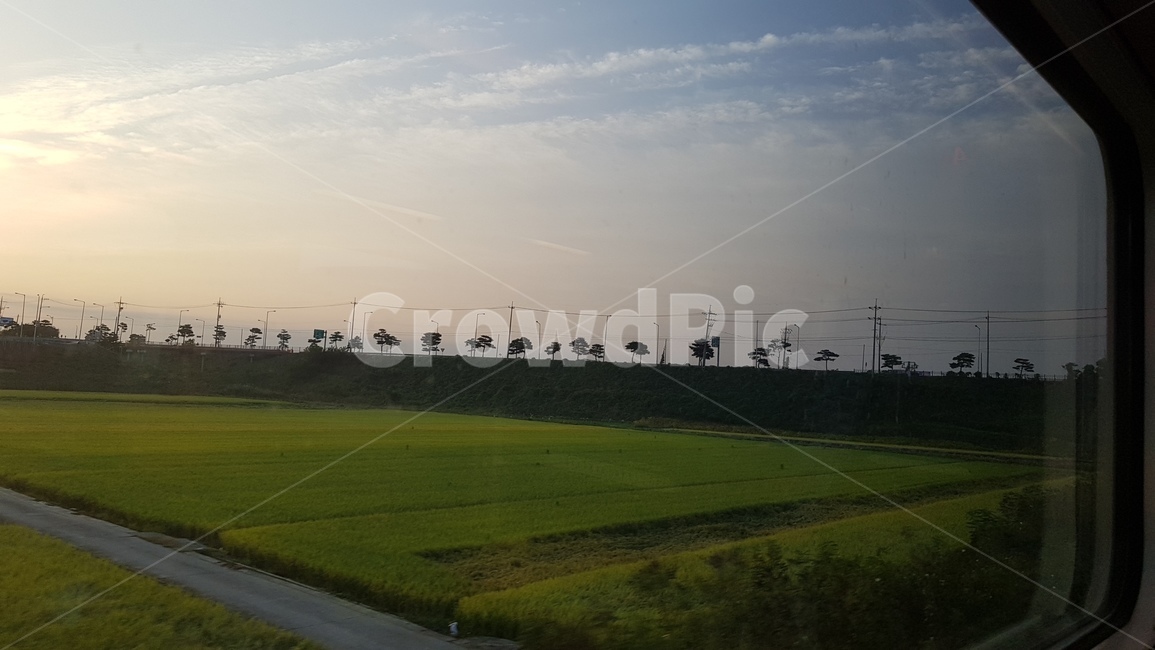 기차여행,기차풍경,자연,outdoors,옥외,nature,grassland,목초지,field,들