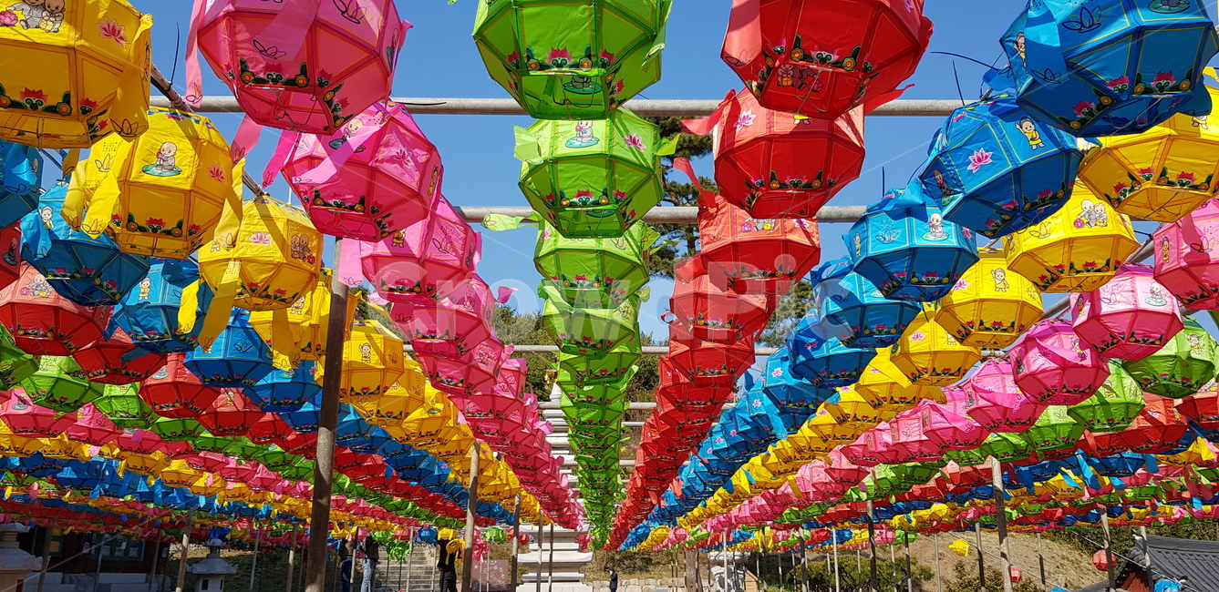 절,사찰,대웅전,부처님오신날,연등,불교,종교,신앙,religion,belief,faith,축제,행사,festival,carnival,event