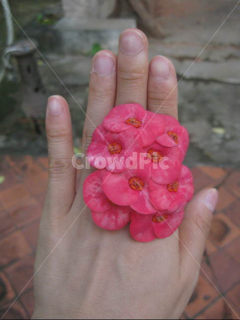 꽃,꽃반지,red,flower,blossom,겹꽃,손