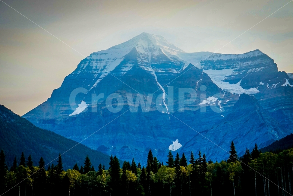 경치,경관,산,자연,mountain,여행,travel,캐나다,canada,롭슨산,Robson,Robsonmountain,자연,풍경,nature,landscape,해외,외국,세계,foreign,oversea,world,세계자연풍경,해외자연풍경,외국자연풍경,world nature landscape,tree,나무,plant,식물,outdoors,옥외,fir,전나무,abies,아비,mountain range,산맥
