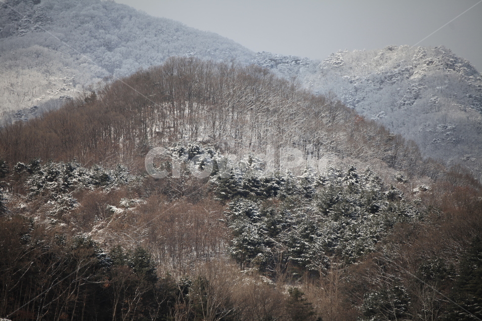 설경,풍경,nature,자연,ice,빙,outdoors,옥외,눈,겨울,계절