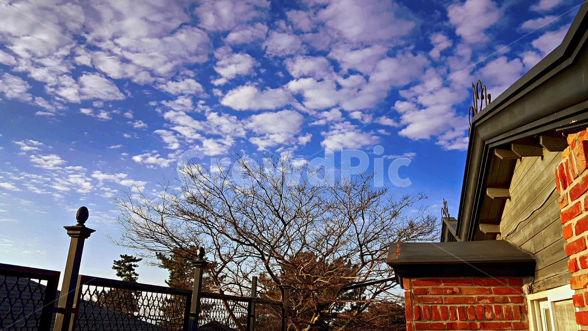 파란하늘,흰구름,푸른하늘,nature,자연,outdoors,옥외,하늘,weather,날씨,cumulus,cloud,구름