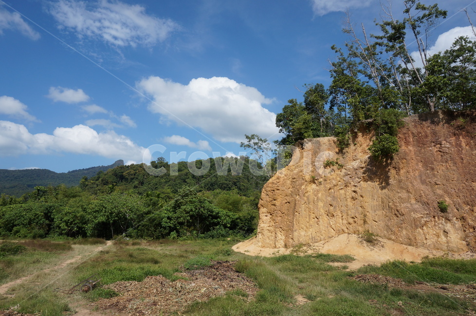 outdoors,옥외,grassland,목초지,들,field