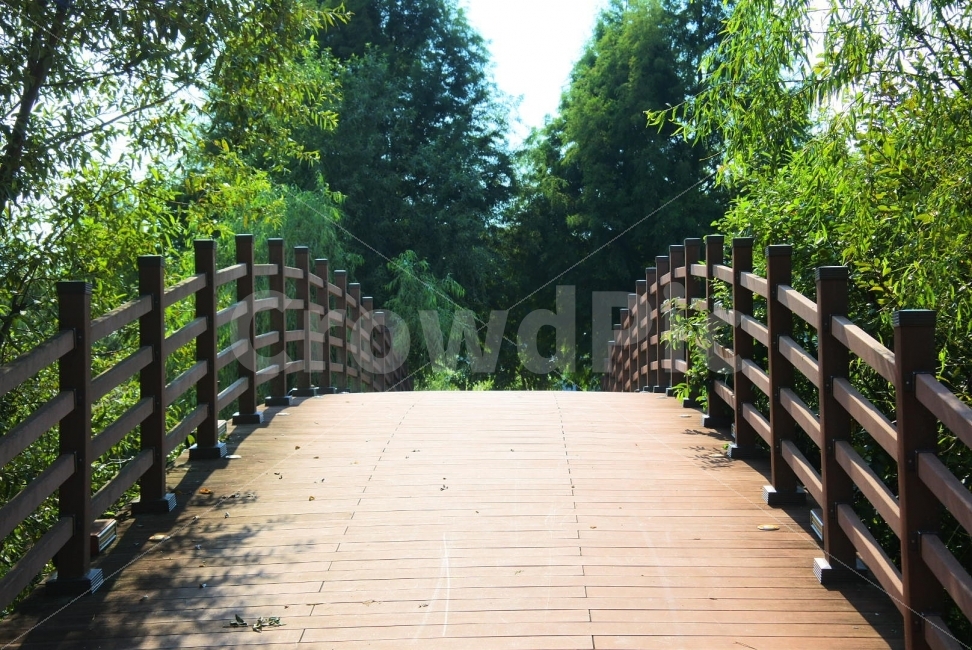 논산,생태공원,다리,출사,니콘,자연,풍경,nature,landscape,여름,계절,summer,season,bridge,boardwalk,산책로,building,건물