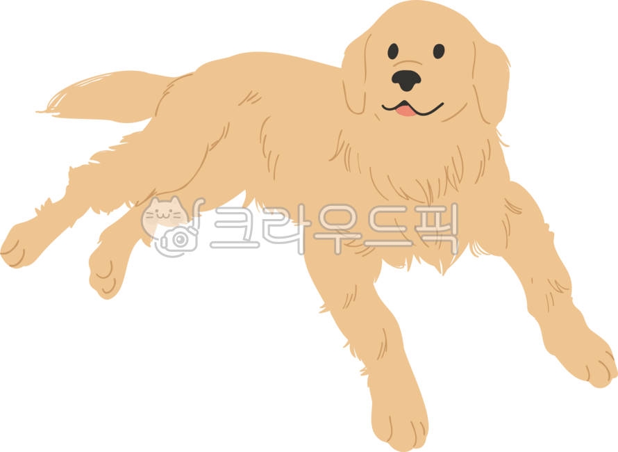 애완동물,강아지,애완견,반려동물,친구,가족,동물,개,펫,귀여운,캐릭터,일러스트,일러스트레이션,골든리트리버,리트리버,성견,dog,animal,pet,온순한,웃고있는,웃음,puppy,goldenretriever,중형견,대형견