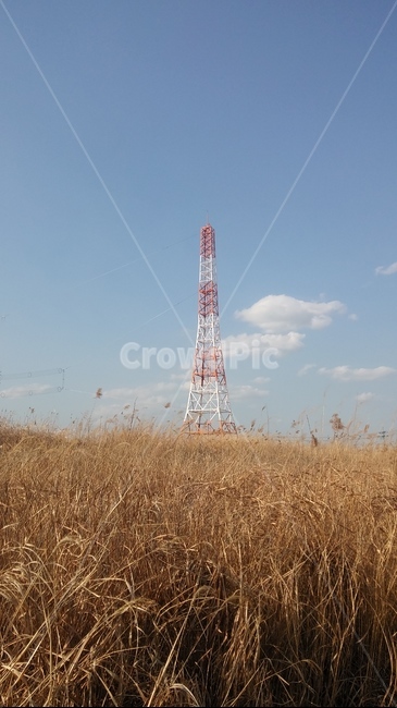 가을,갈대,송전탑,풍경,하늘,가을,계절,fall,autumn,season,자연,풍경,nature,landscape