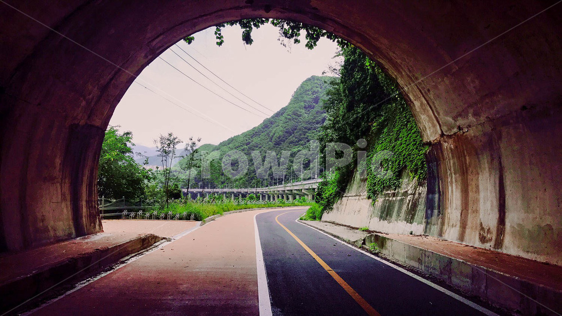 터널,풍경,자연,도로,길,감성,배경,단양,교통,tunnel,traffic,transportation