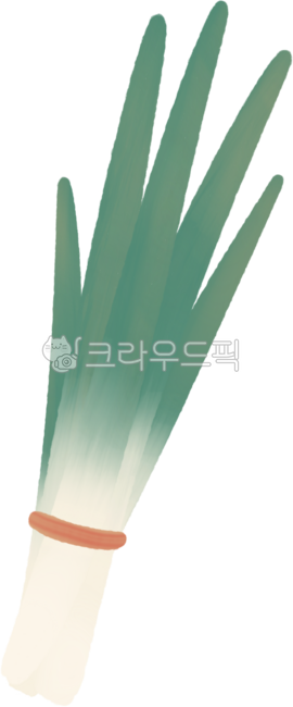 파, 대파, 일러스트, png, 식재료, 사진,이미지,일러스트,캘리그라피 - pllllllp작가