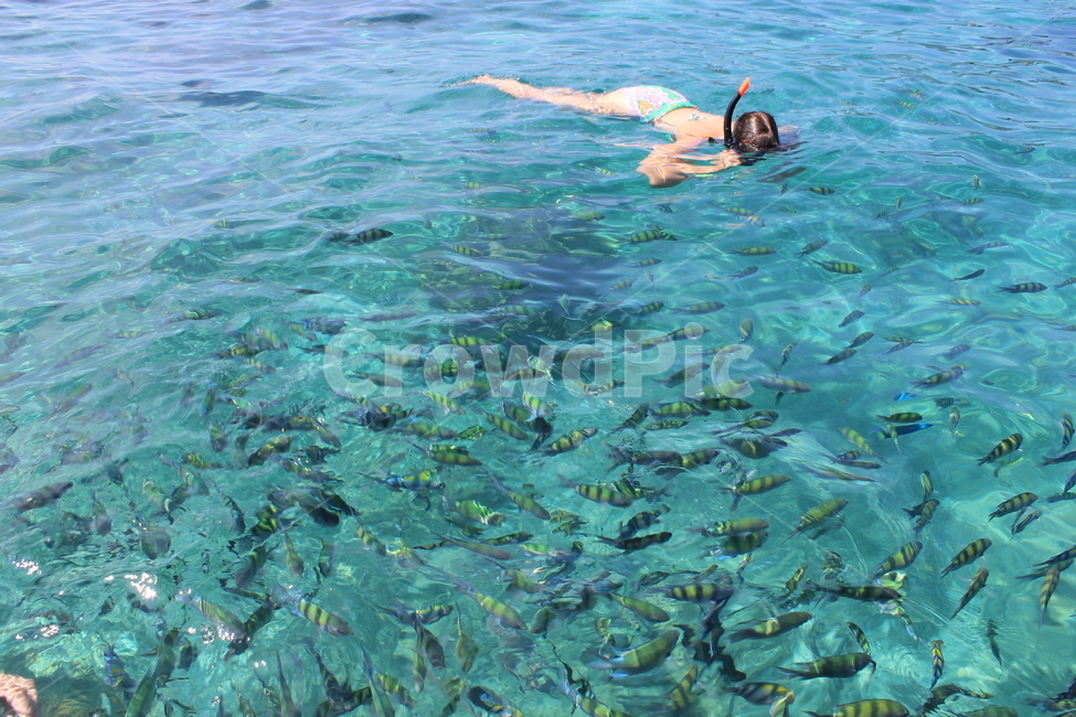 water,물,diving,다이빙,sport,스포츠,잠수부,diver,스노클링,snorkeling,바다,사람,인물,인간,human,person,여성,여자,woman,female,lady,스포츠,레저,운동,sports,leisure,exercise