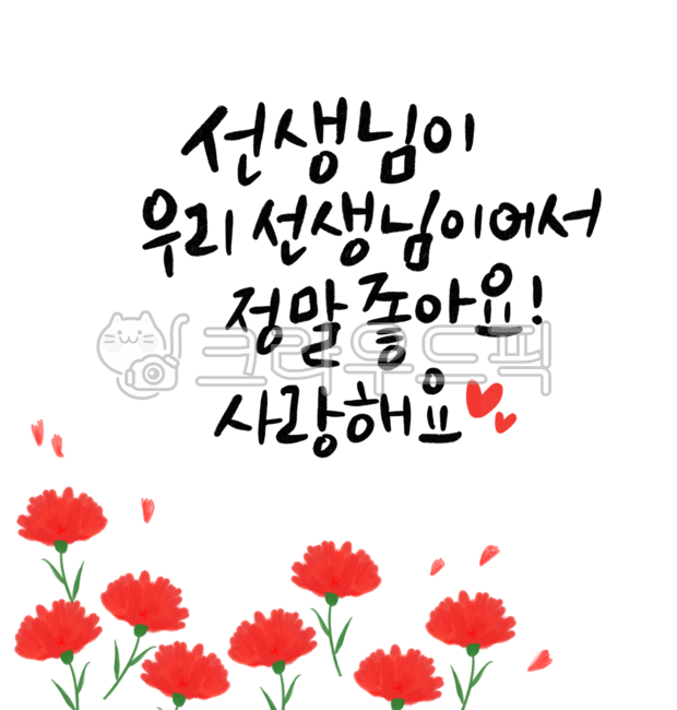 카네이션,선생님,스스의날,감사인사,사랑해요,고마워요,좋아요,carnation,꽃잎,꽃,flower,캘리그라피,손글씨,손편지