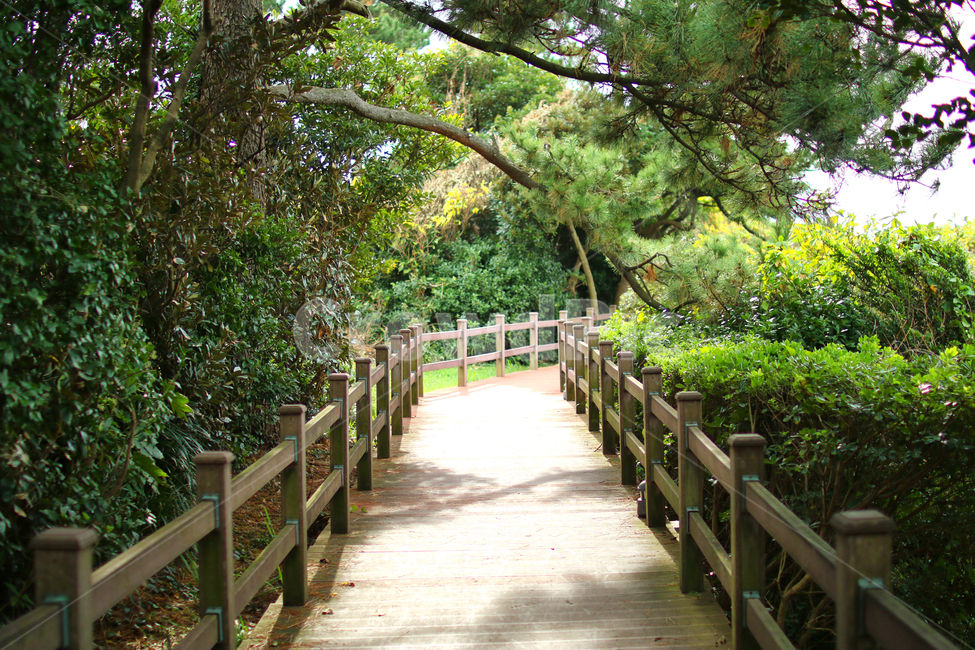 길,공원길,산책길,숲깊,숲,자연,풍경,nature,landscape,garden,정원,outdoors,옥외,arbour,정자