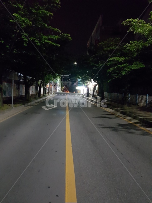 도로,길,노란,나무,어두움